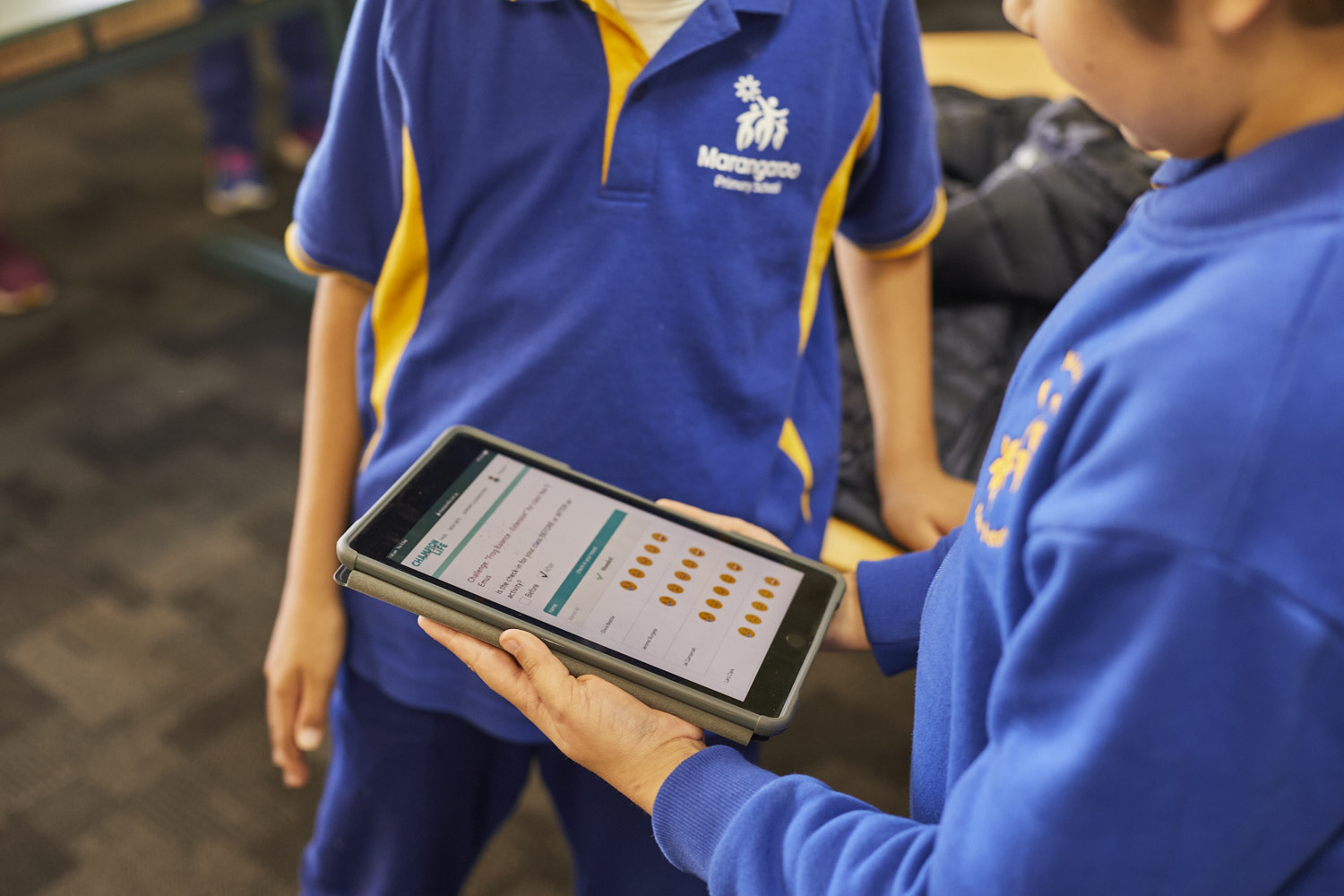 Strong and Sure program